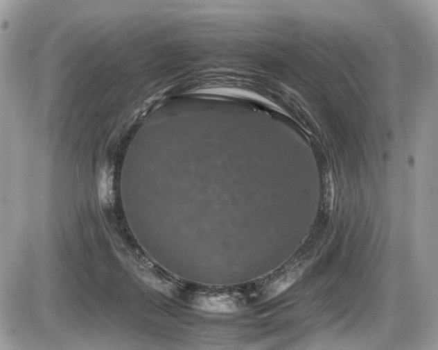 X0000087420267200704201433