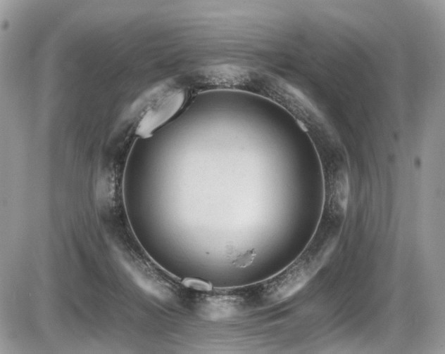 X0000087420268200704201433