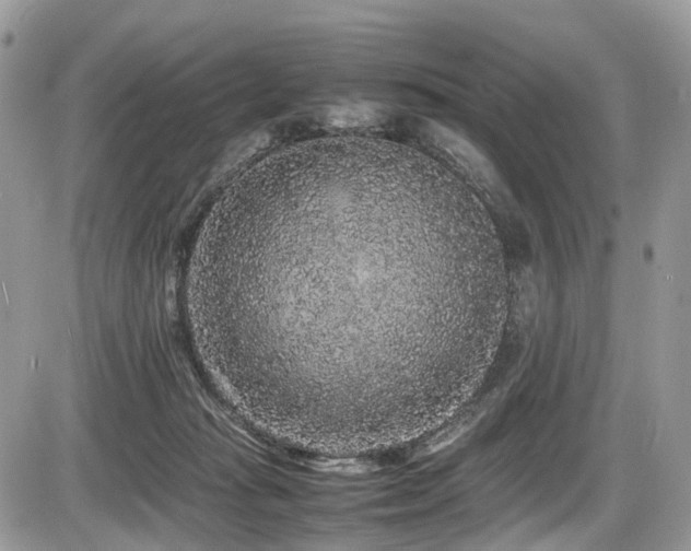 X0000087420269200704201433