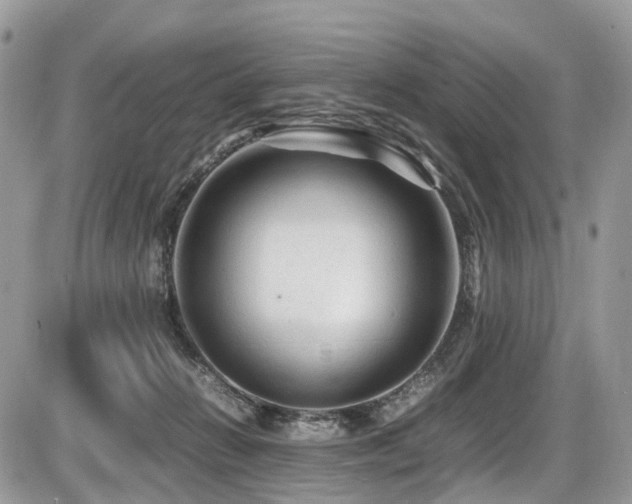 X0000087420270200704201433