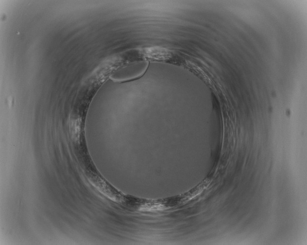 X0000087420271200704201433