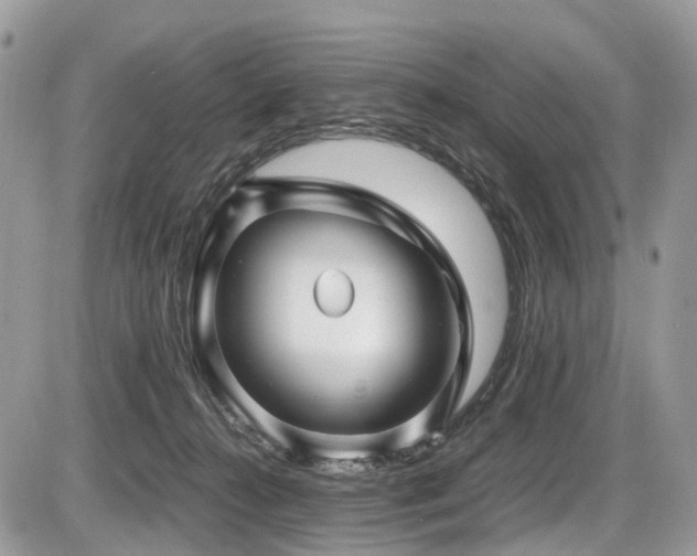 X0000087420272200704201433