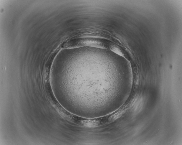 X0000087420273200704201433