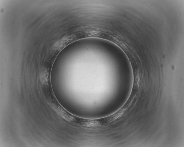 X0000087420274200704201433