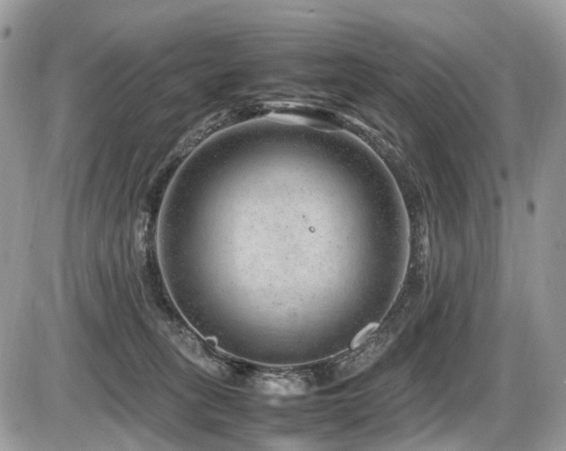 X0000087420275200704201433