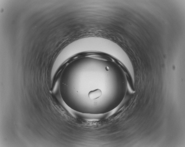 X0000087420276200704201433