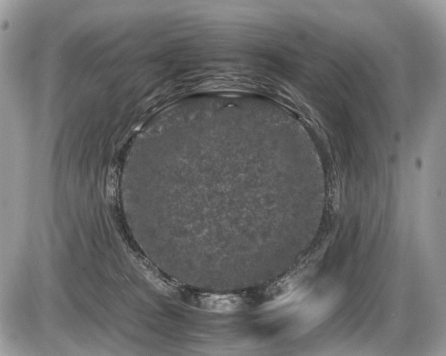 X0000087420277200704201433