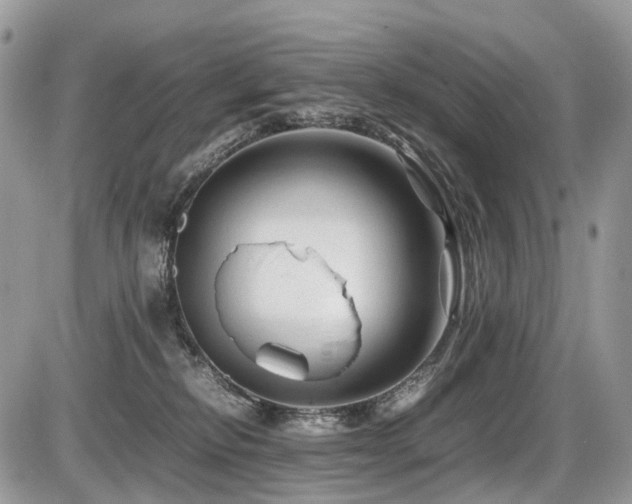 X0000087420278200704201433