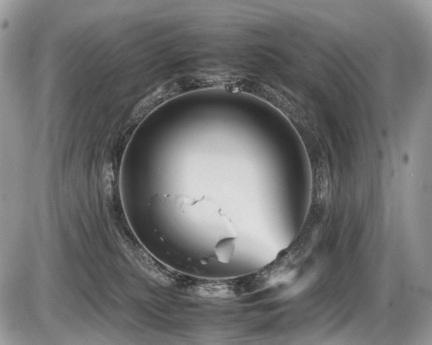 X0000087420279200704201433