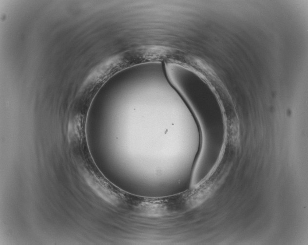 X0000087420280200704201433