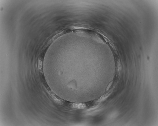 X0000087420281200704201433