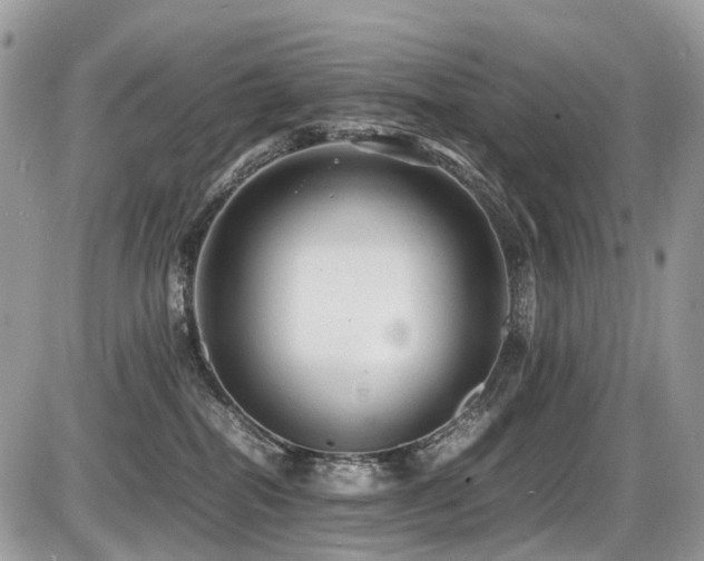 X0000087420282200704201433