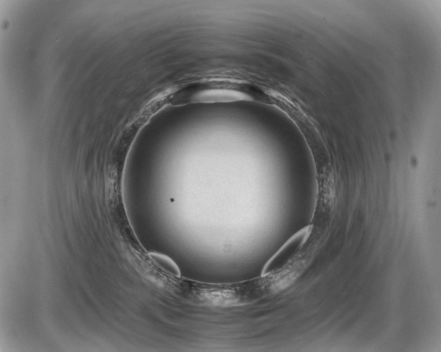 X0000087420283200704201433