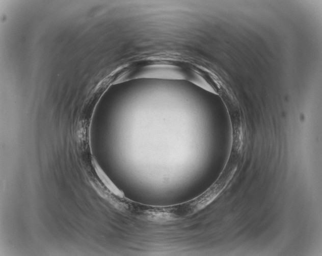 X0000087420284200704201433