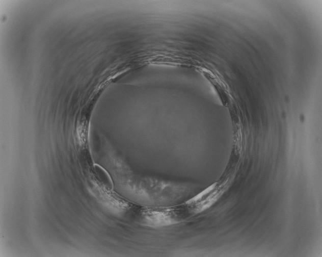 X0000087420285200704201433