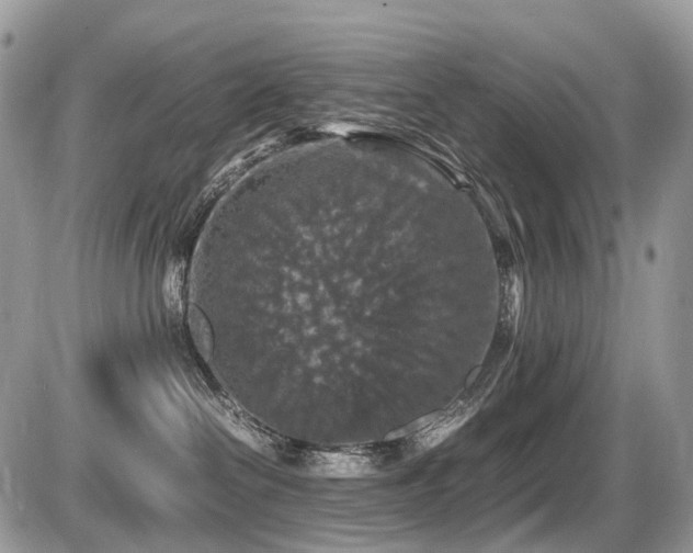 X0000087420286200704201433