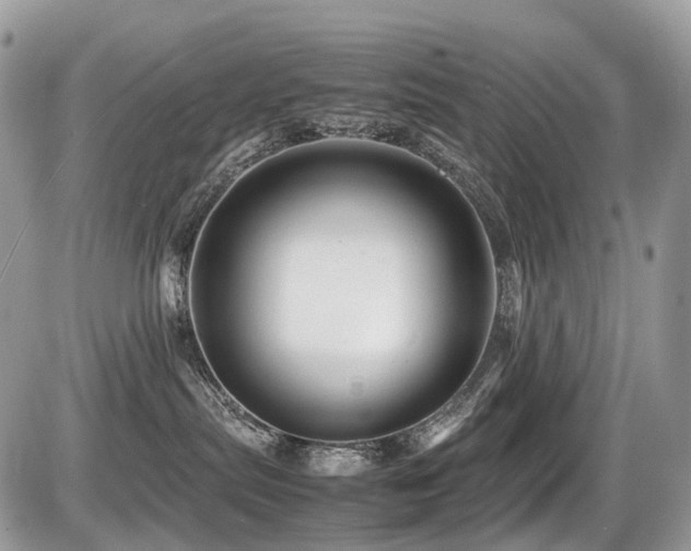 X0000087420287200704201433