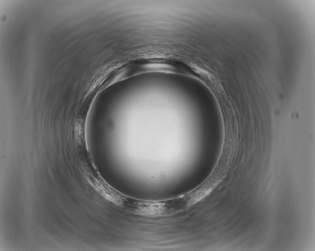 X0000087420288200704201433