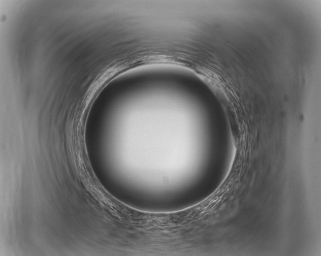 X0000087420289200704201433