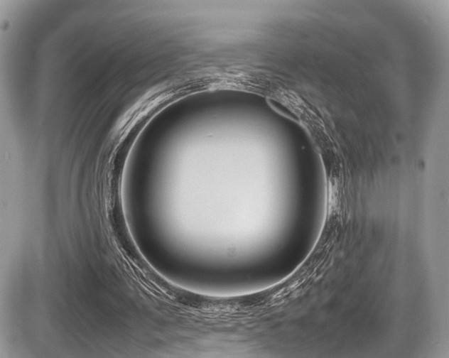 X0000087420291200704201433