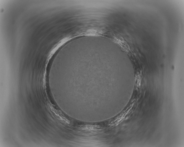 X0000087420292200704201433