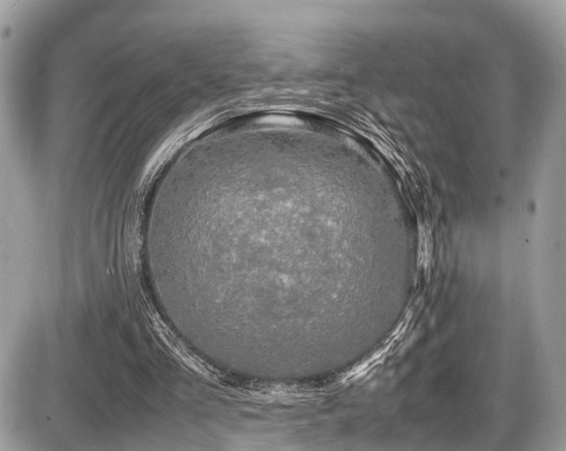 X0000087420293200704201433