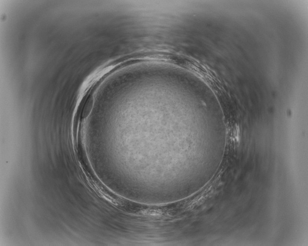 X0000087420294200704201433