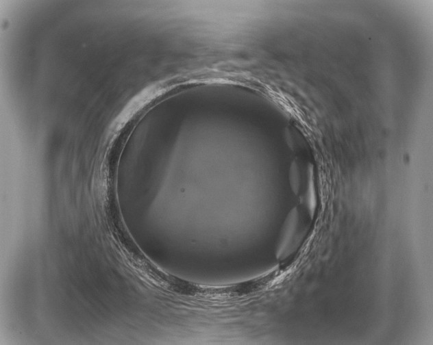 X0000087420295200704201433