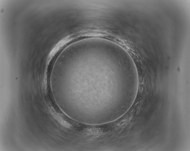 X0000087420296200704201433