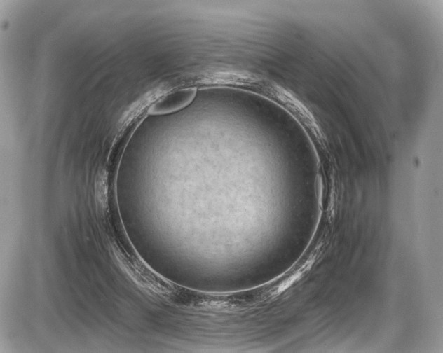 X0000087420298200704201432