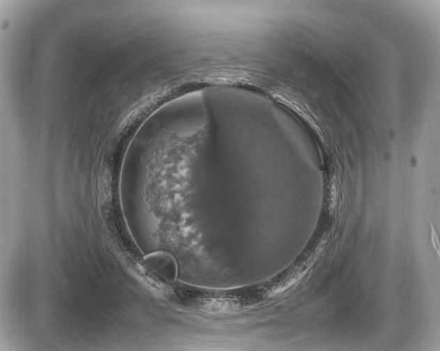 X0000087420303200704201432