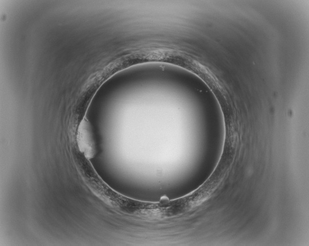 X0000087420307200704201432