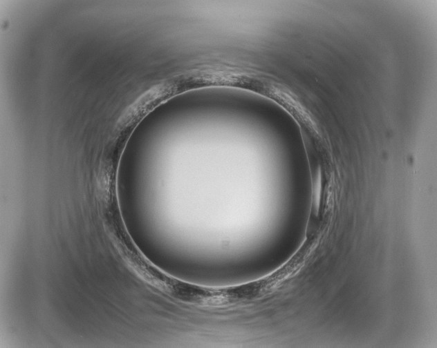 X0000087420309200704201432