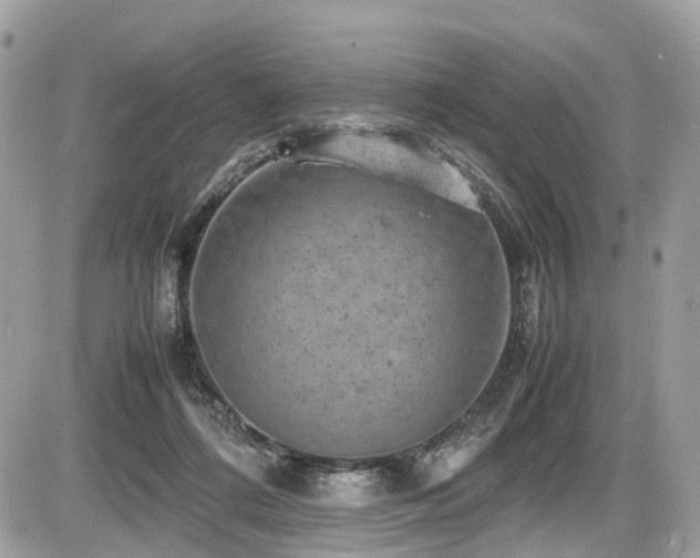 X0000087420312200704201432