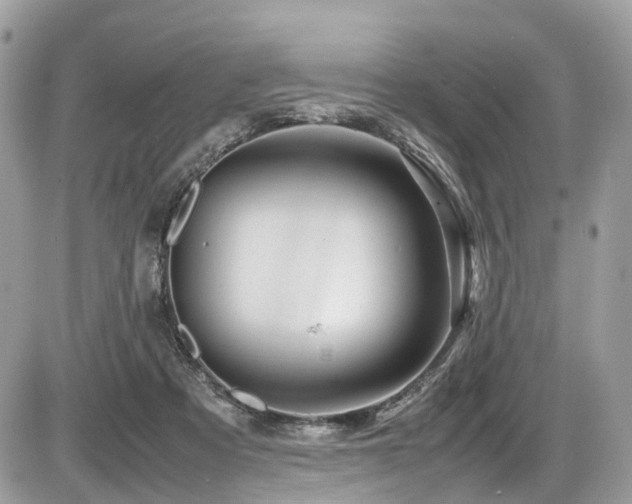 X0000087420313200704201432