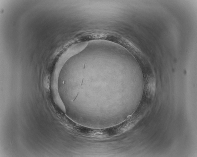 X0000087420315200704201432