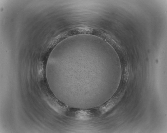 X0000087420320200704201432