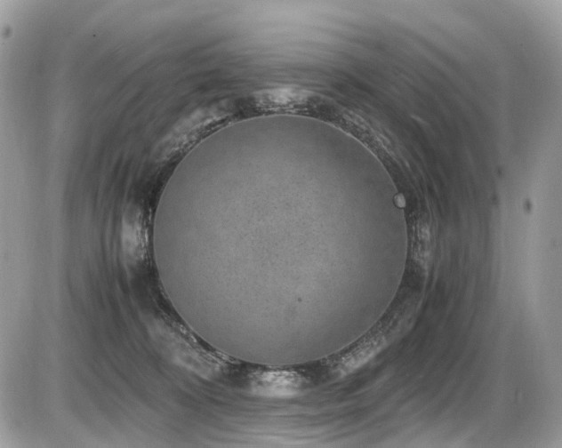 X0000087420324200704201432