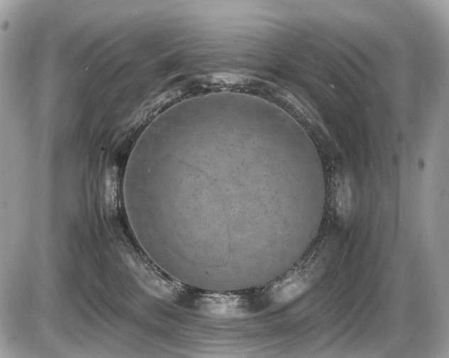 X0000087420328200704201432