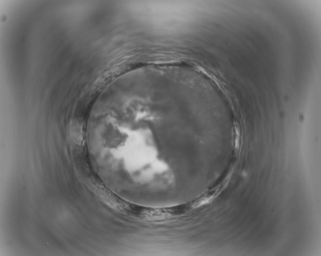 X0000087420331200704201432