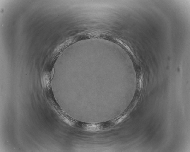 X0000087420335200704201432