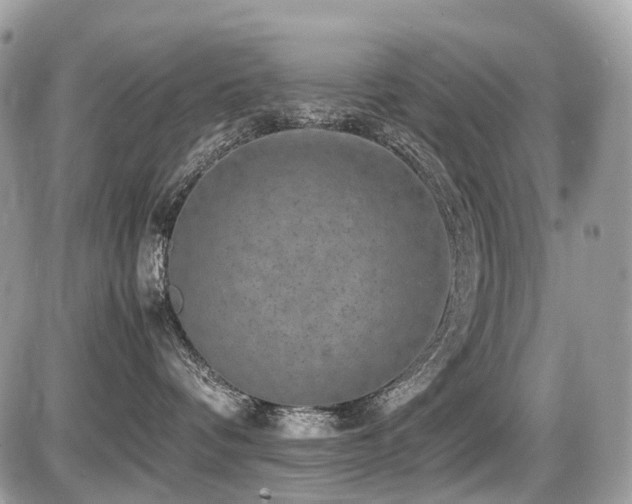 X0000087420336200704201432