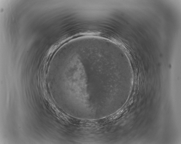 X0000087420337200704201431