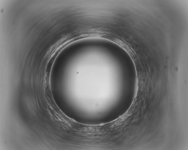 X0000087420338200704201431