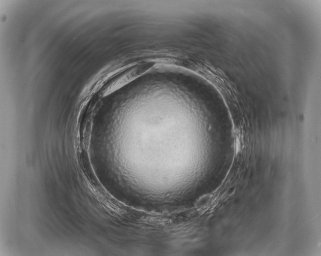 X0000087420339200704201431