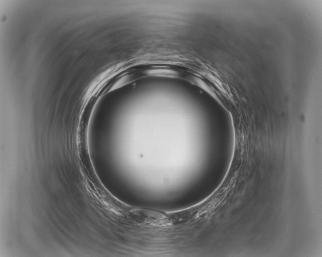 X0000087420340200704201431