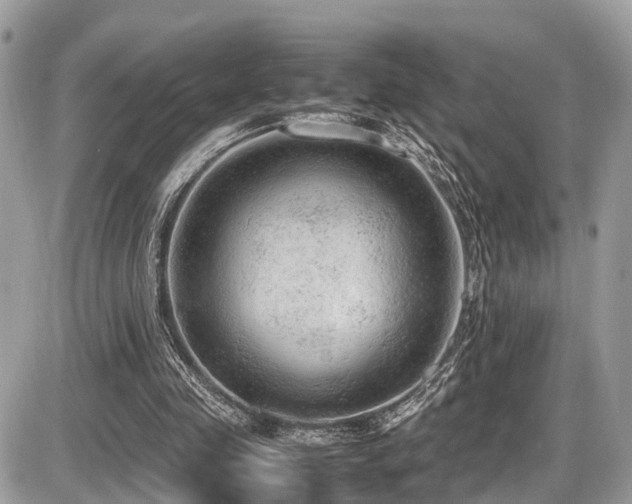 X0000087420341200704201431