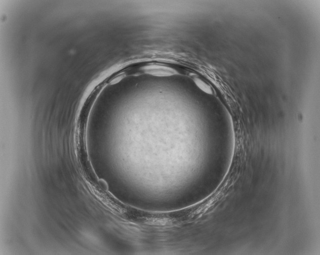 X0000087420342200704201431