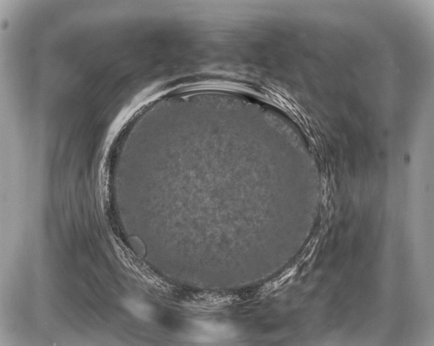 X0000087420343200704201431