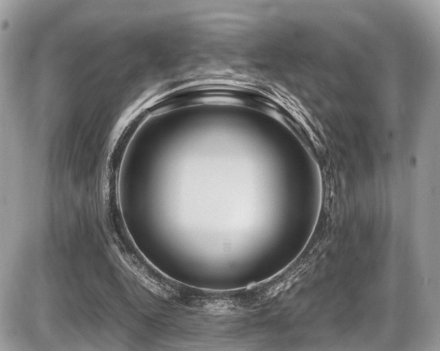 X0000087420344200704201431